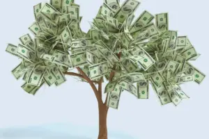 9 Dicas de Como Ganhar Dinheiro com Consultoria Online: Um Guia Abrangente